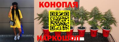PSILOCYBIN Балахна