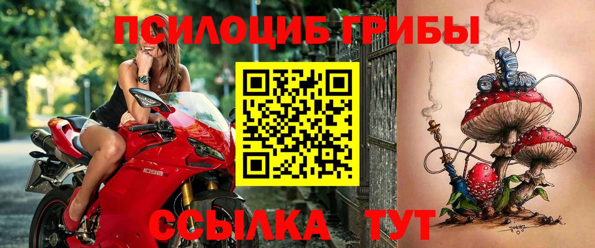 Беслан  Галлюциногенные грибы Magic Shrooms  Вход с VPN 
